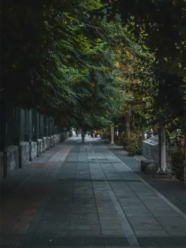 Tehran University Walls